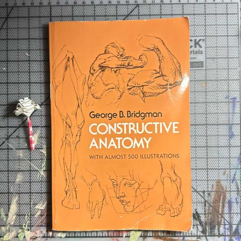 Constructive Anatomy