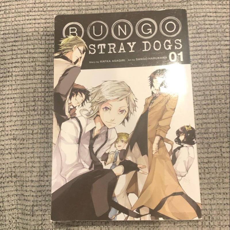 Bungo Stray Dogs, Vol. 1