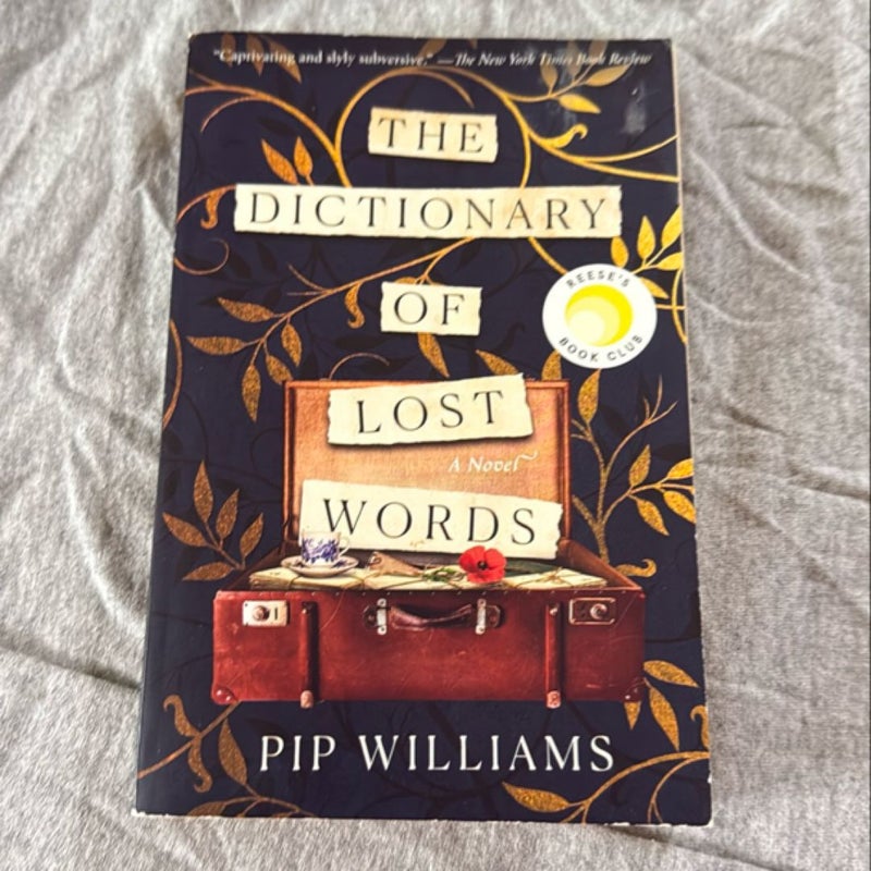 The Dictionary of Lost Words