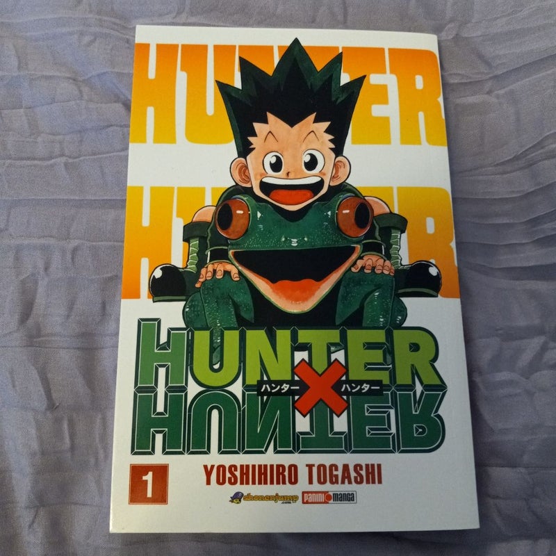Hunter × Hunter manga volume 1 (en Español) 