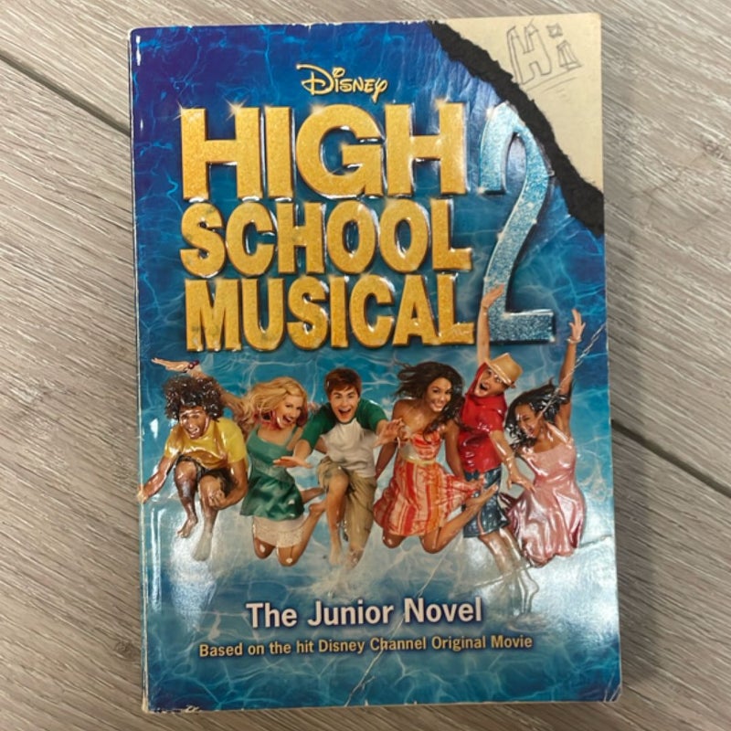 Disney High School Musical: the Junior Novel - #2