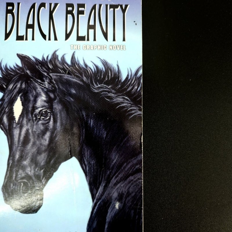Puffin Graphics: Black Beauty