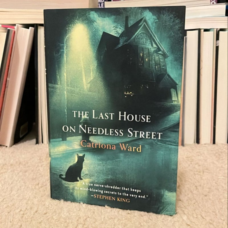 The Last House on Needless Street