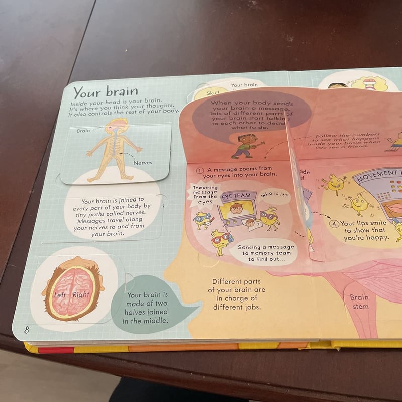 Look Inside Your Body by Louie Stowell, Hardcover Pango Books