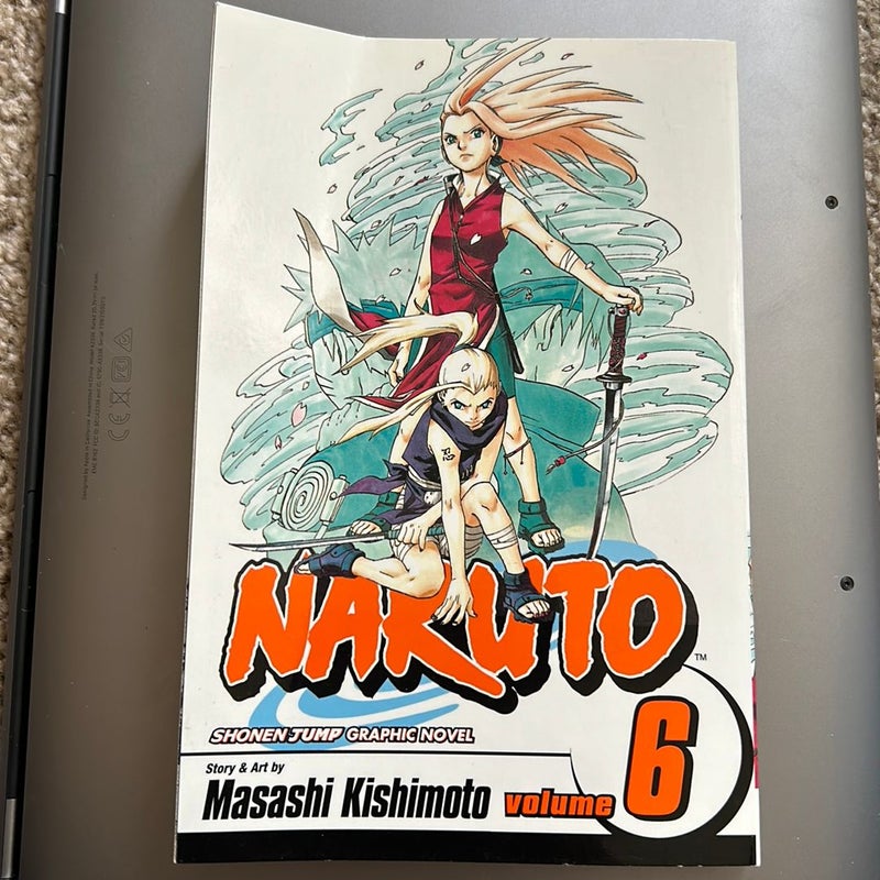 Naruto, Vol. 6