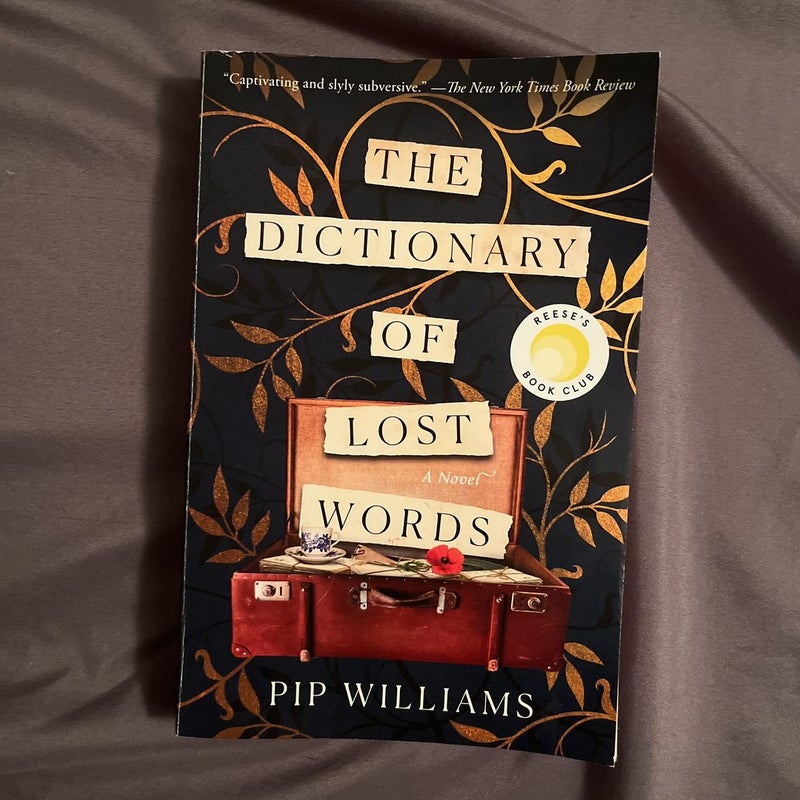 The Dictionary of Lost Words