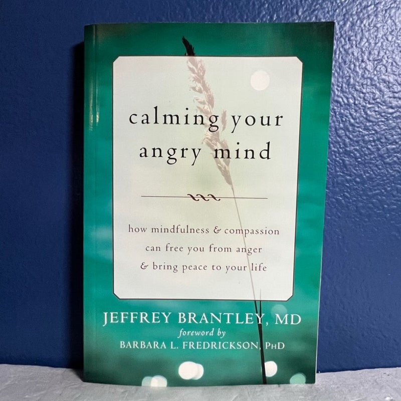 Calming Your Angry Mind