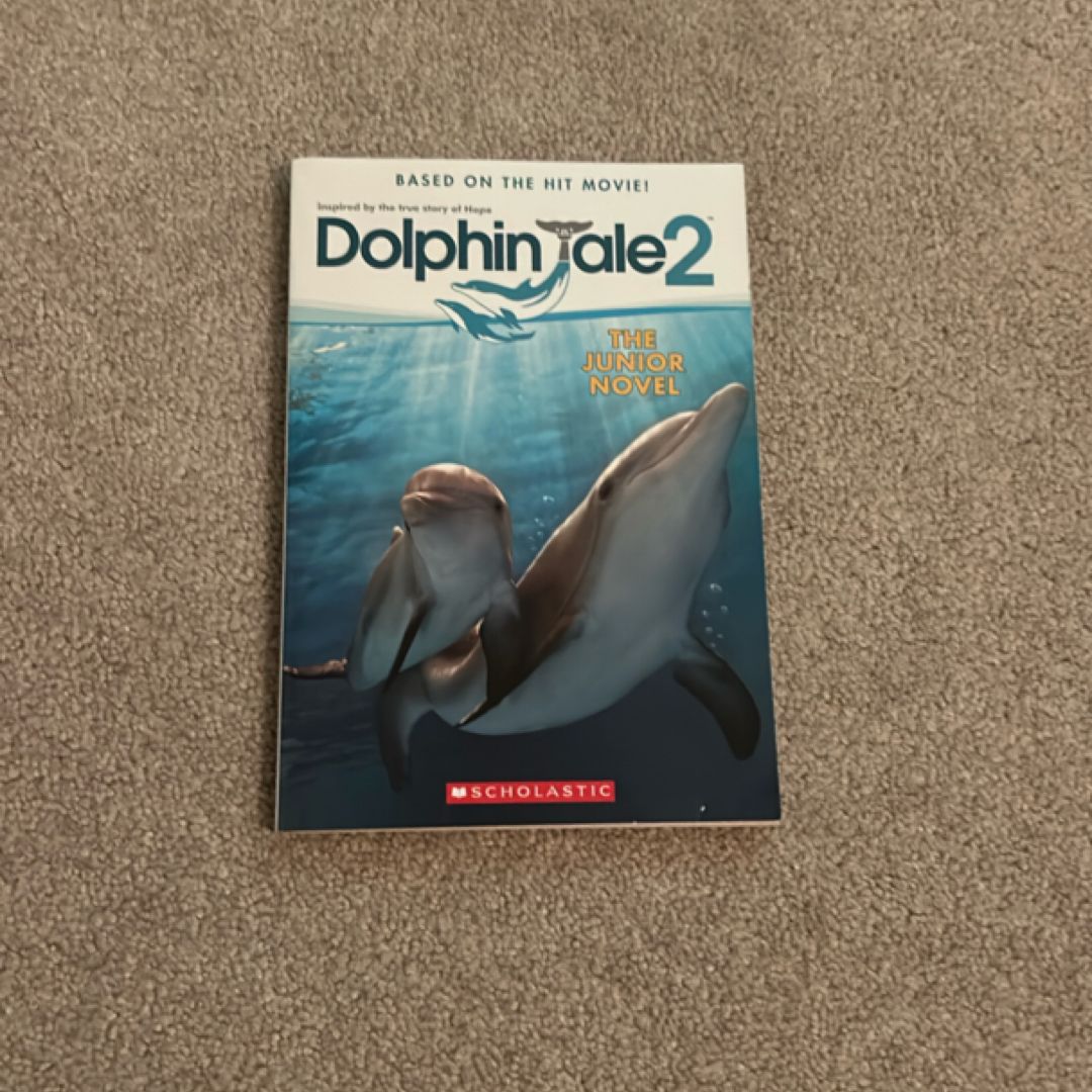 Dolphin Tale 2