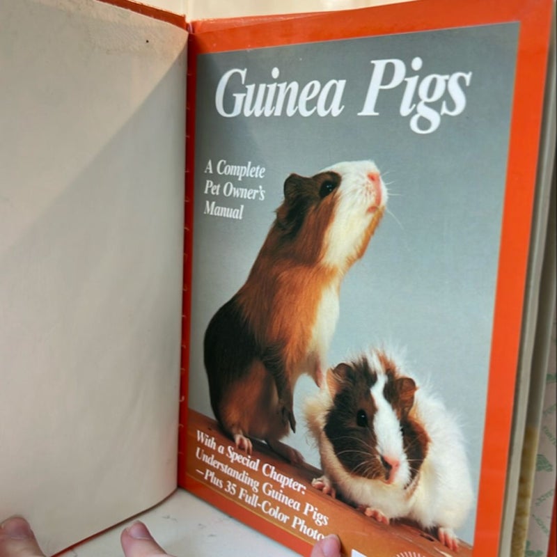 Guinea Pigs