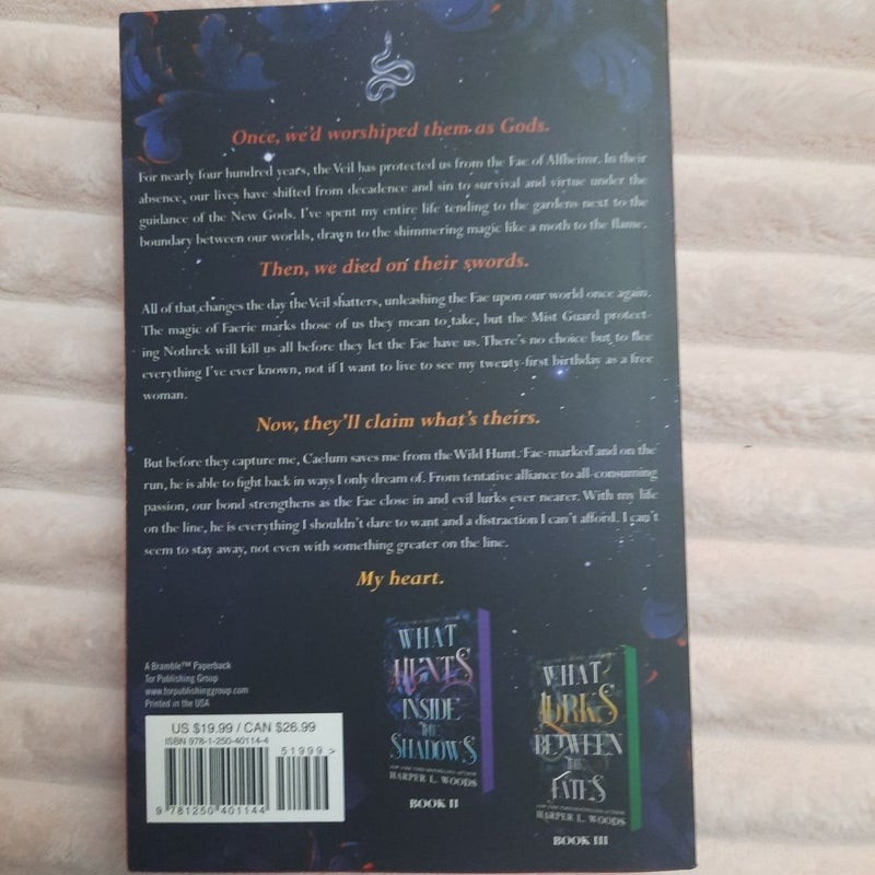 What Lies Beyond the Veil