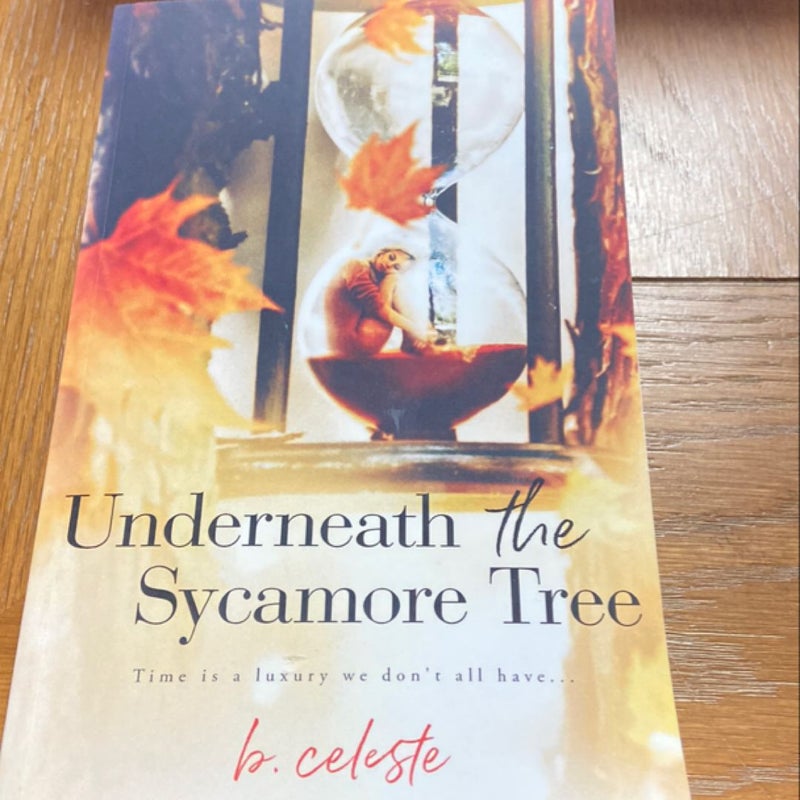 Underneath the Sycamore Tree