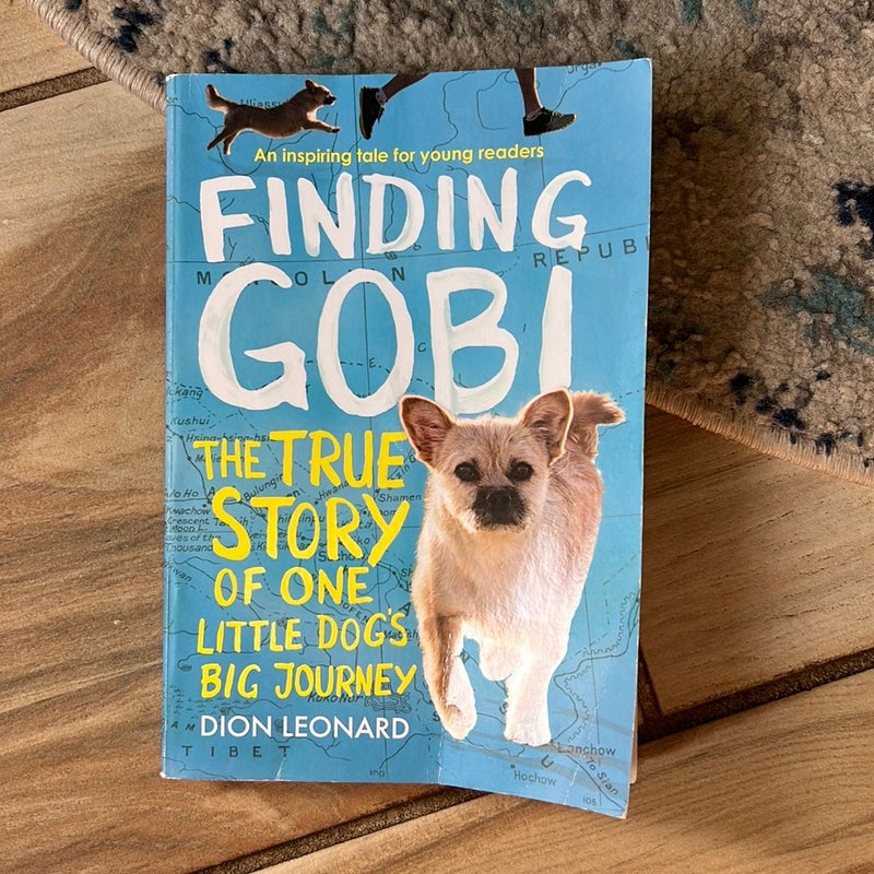 Finding Gobi