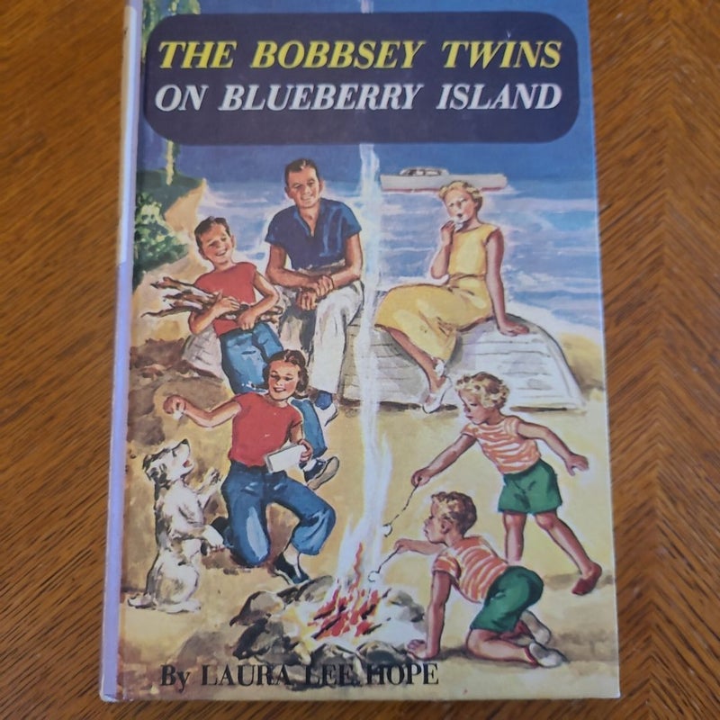 The Bobbsey Twins On Blueberry Island