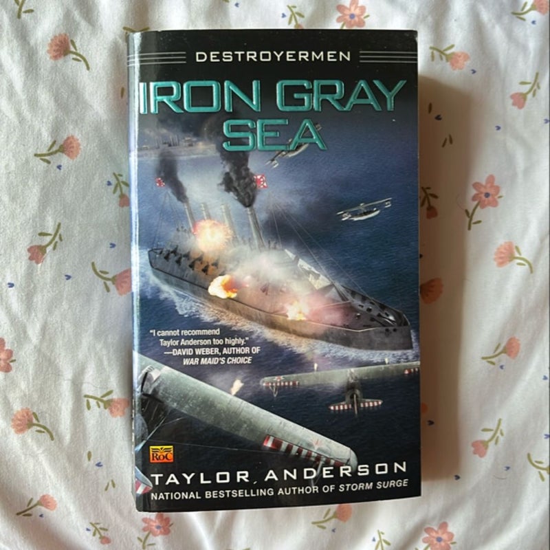 Iron Gray Sea