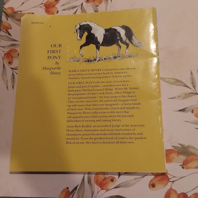 Our First Pony