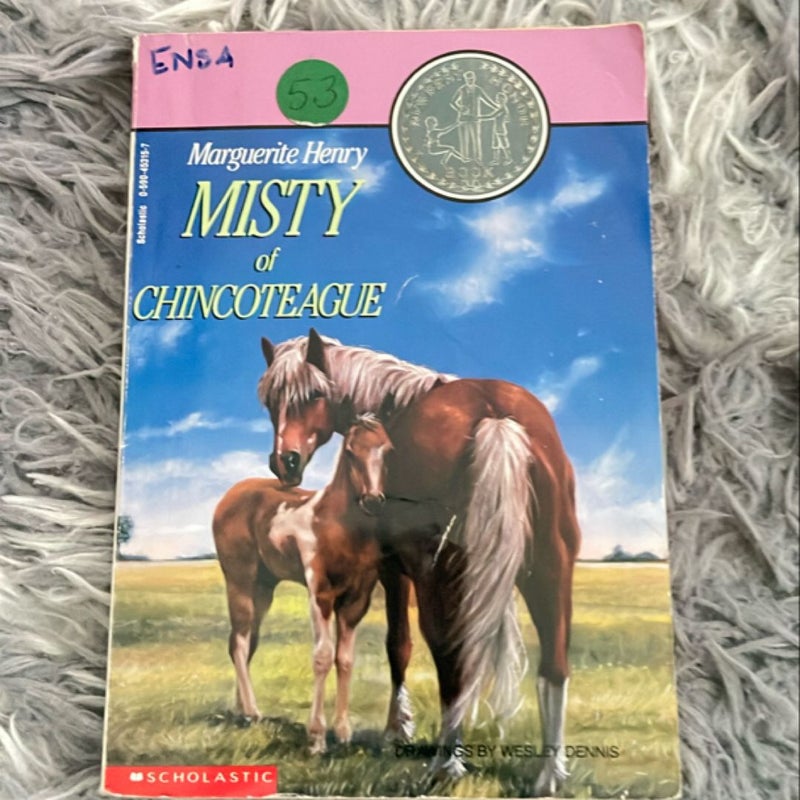 Misty of Chincoteague