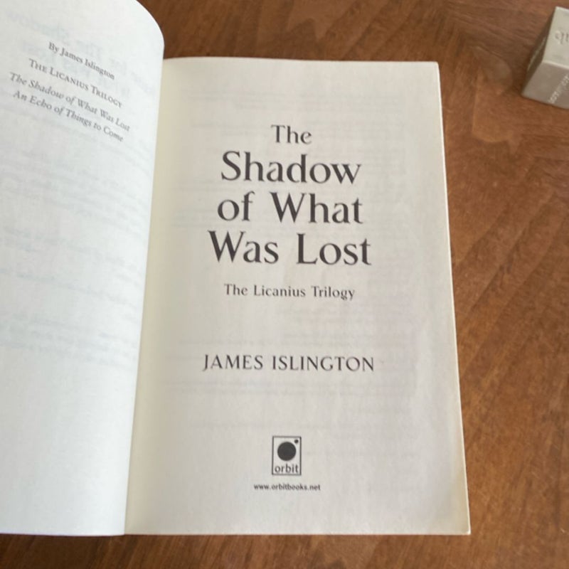 The Shadow of What Was Lost