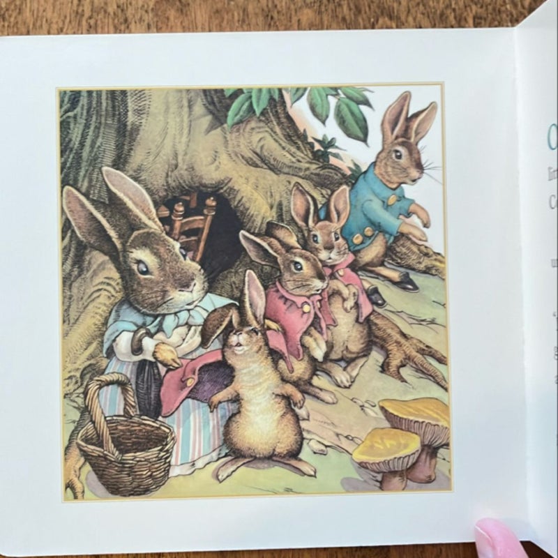 The Classic Tale of Peter Rabbit Board Book