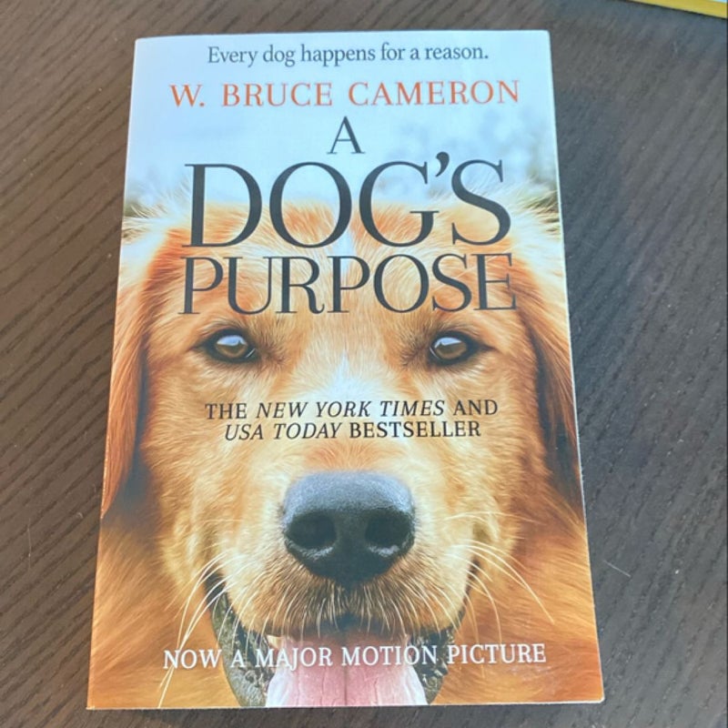 A Dog’s Purpose