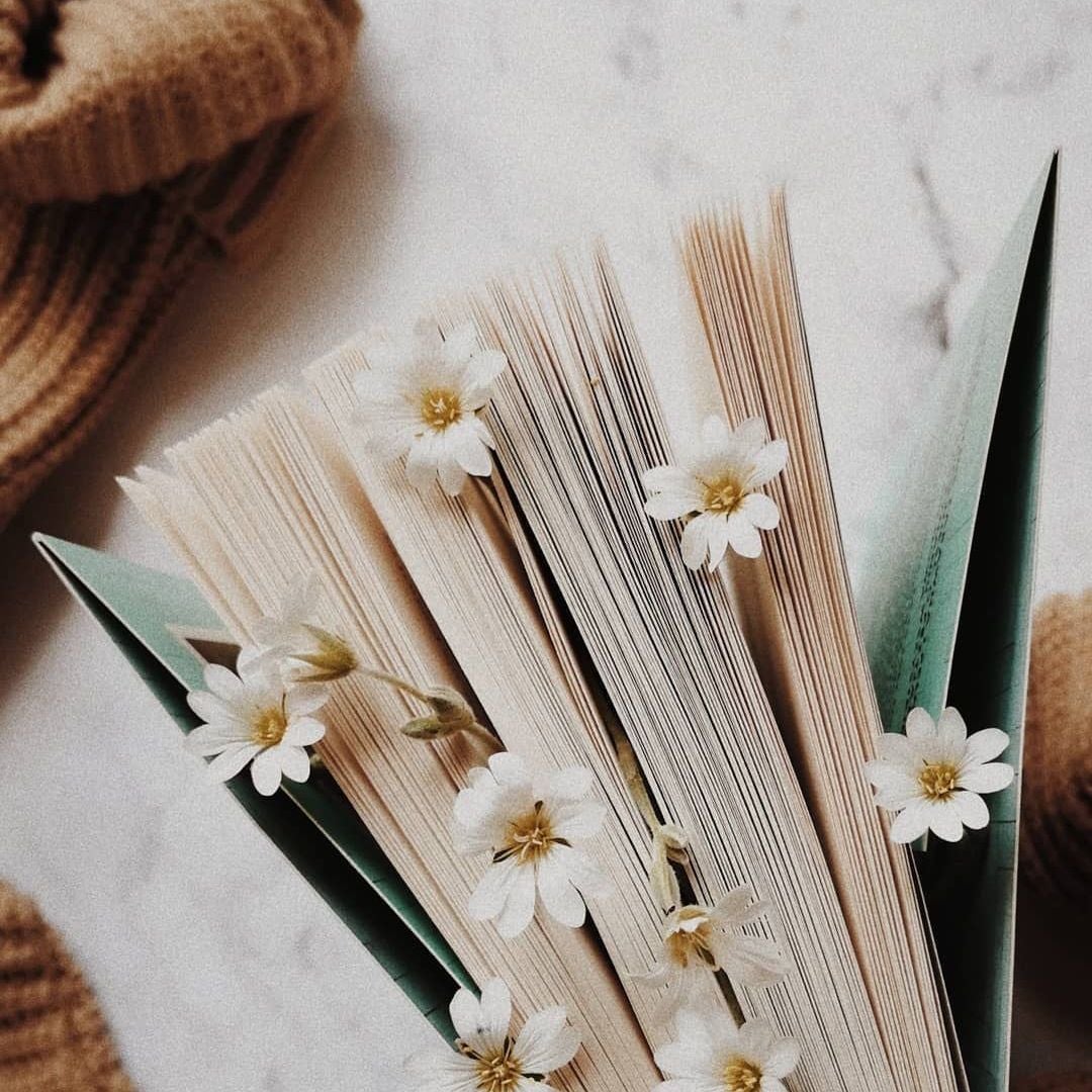 LiteraryCorner