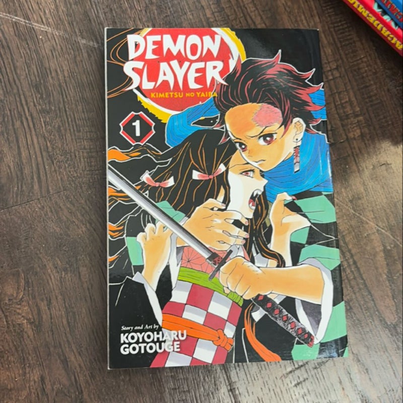 Demon Slayer: Kimetsu No Yaiba, Vol. 1