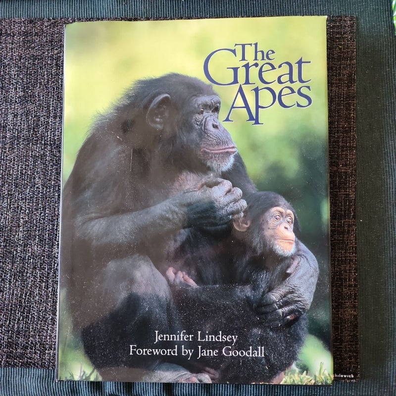 The Great Apes