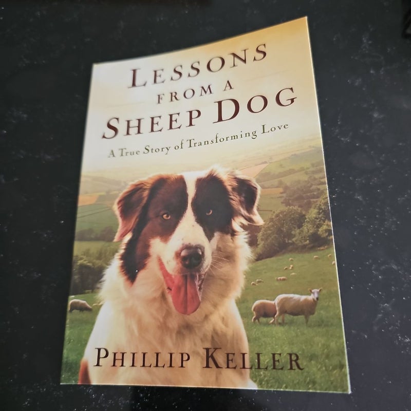 Lessons From A Sheep Dog