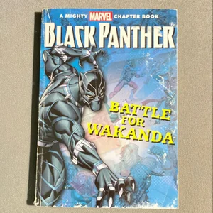 Black Panther: the Battle for Wakanda