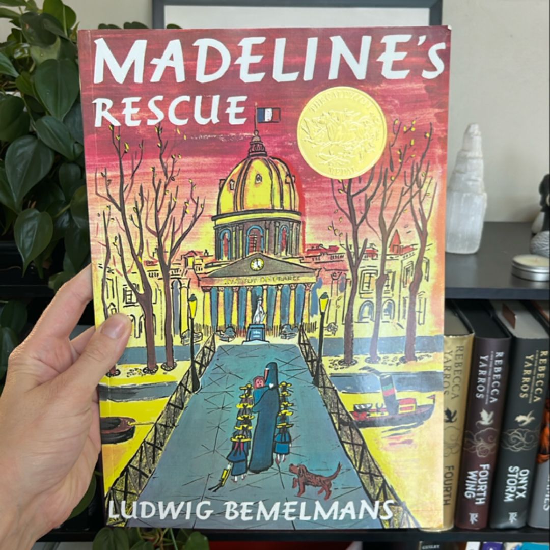 Madeline's Rescue