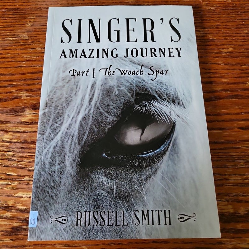 Singer's Amazing Journey