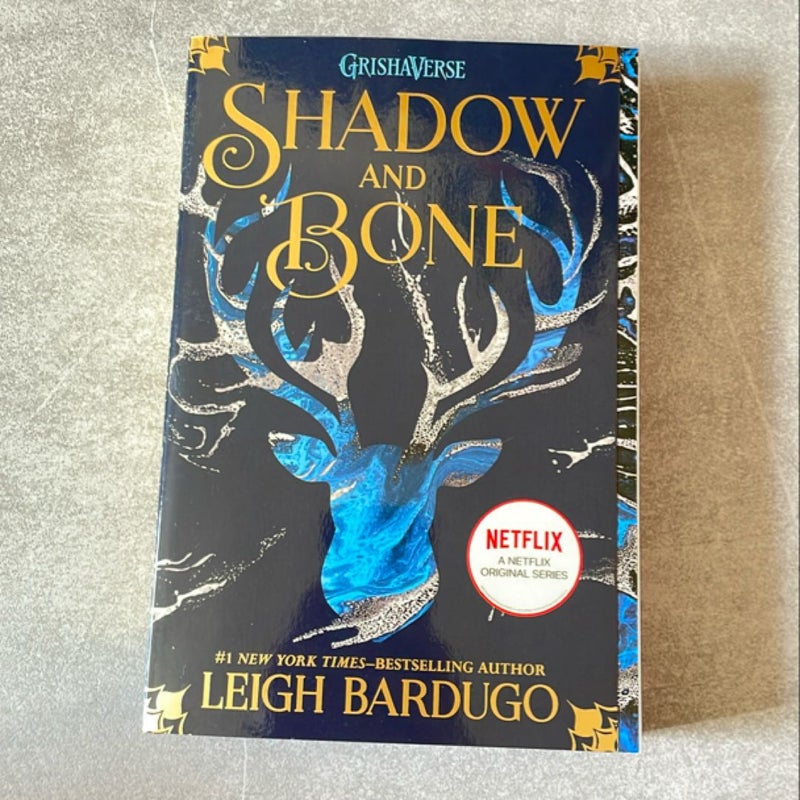 Shadow and Bone (book 1)