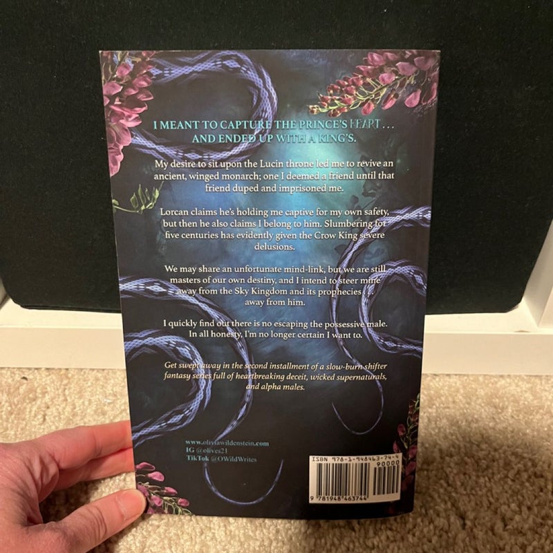 Kingdom of Crows series (first 4 books)