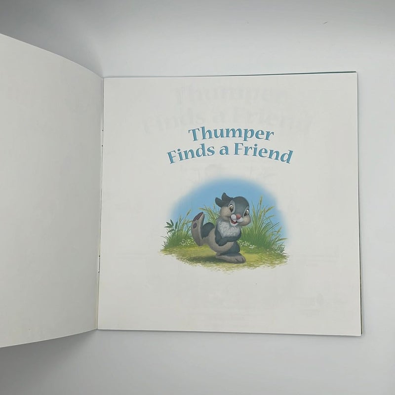 Disney Bunnies: Thumper Finds a Friend