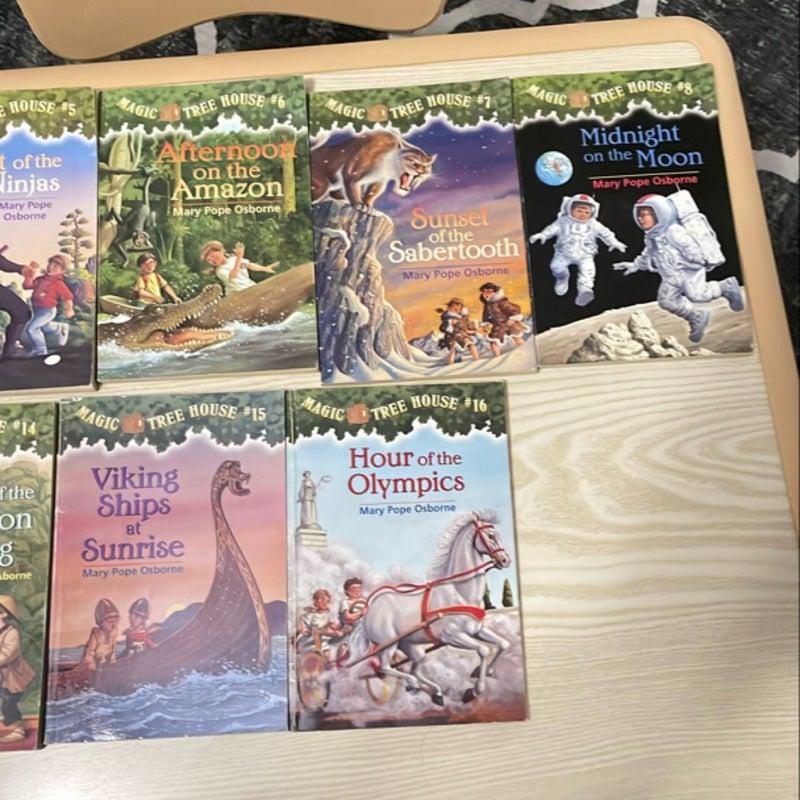 Magic Tree House Series 1-16 (missing #10)