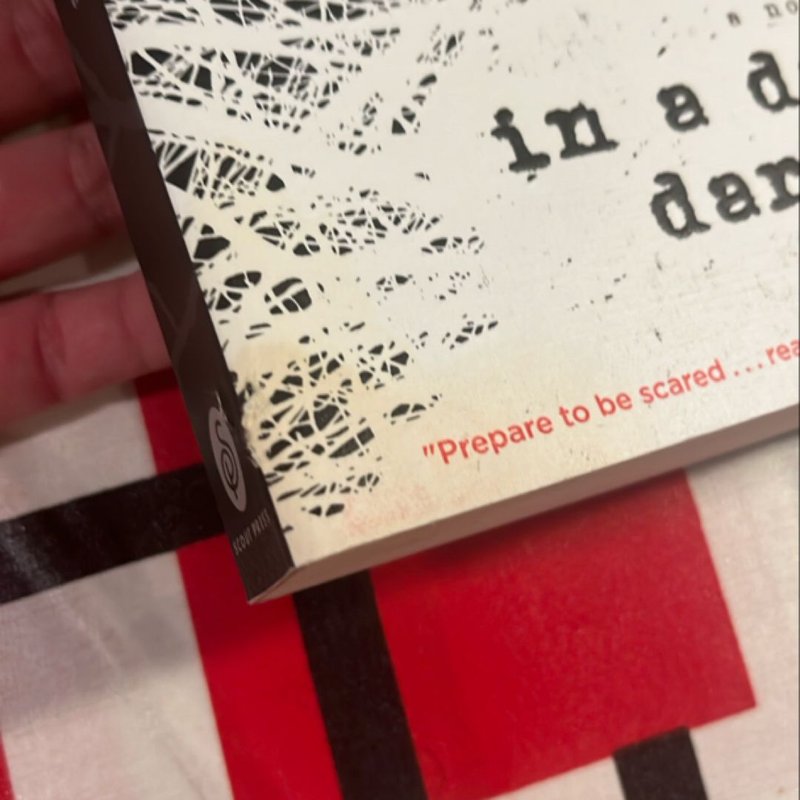 In a Dark, Dark Wood