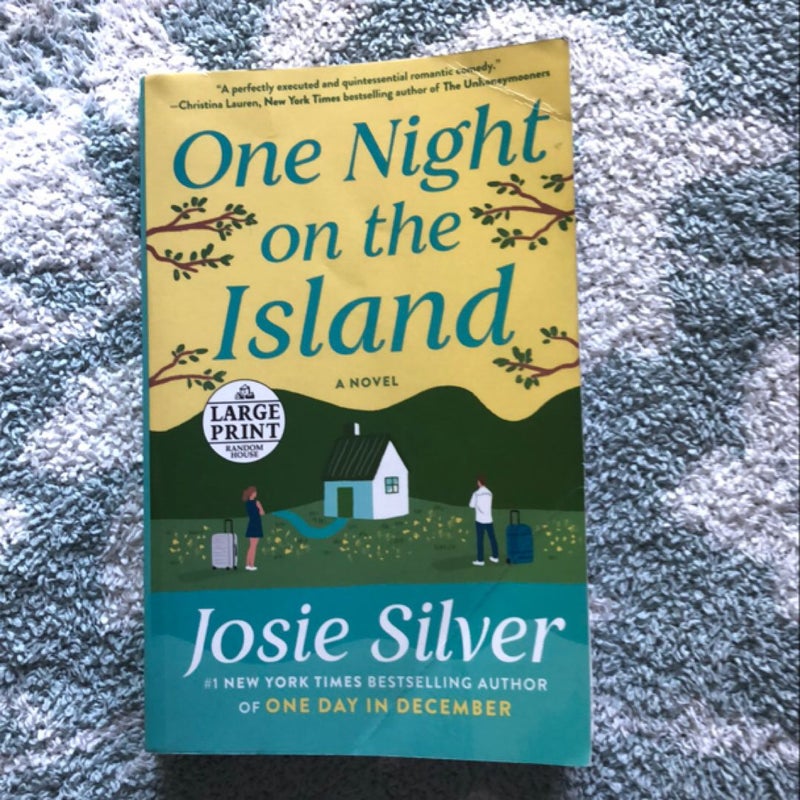 One Night on the Island