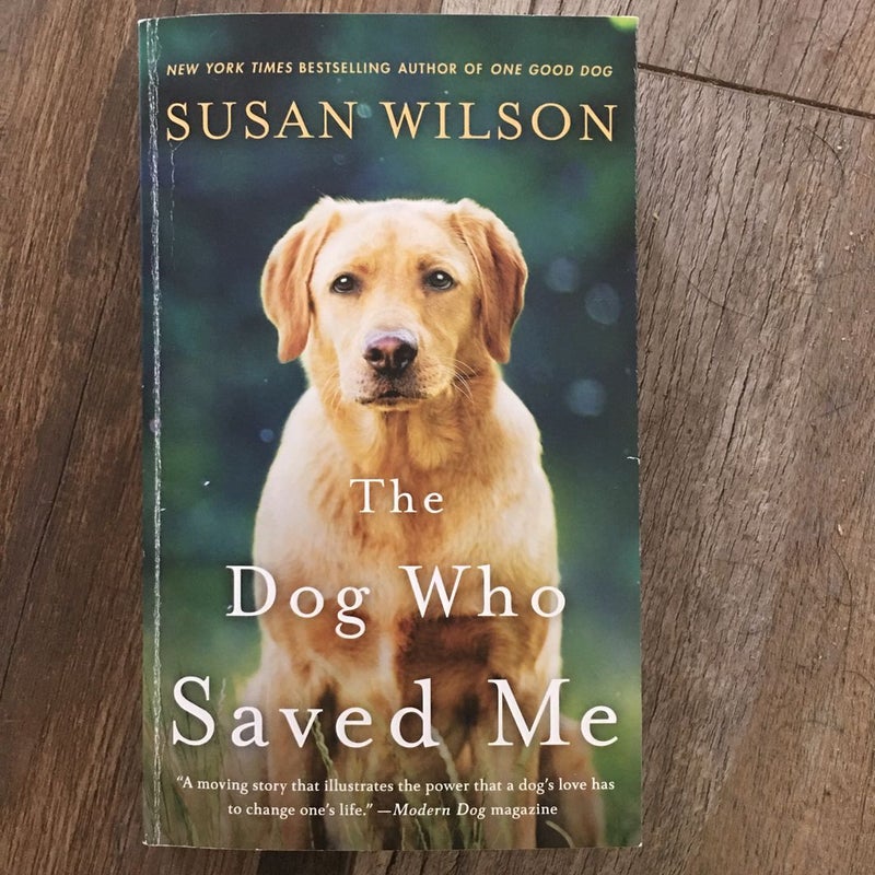 The Dog Who Saved Me