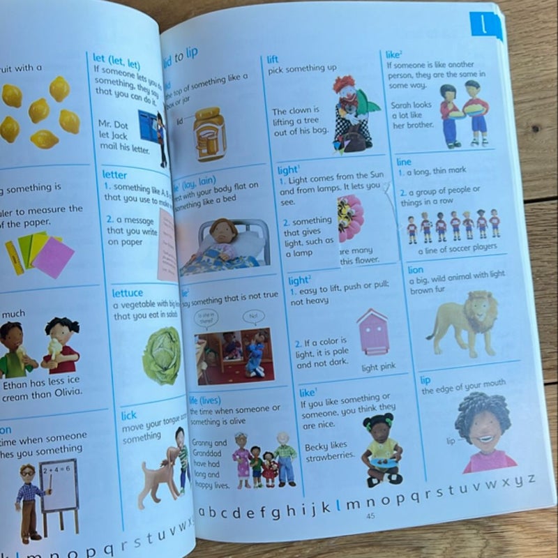 The Usborne Picture Dictionary