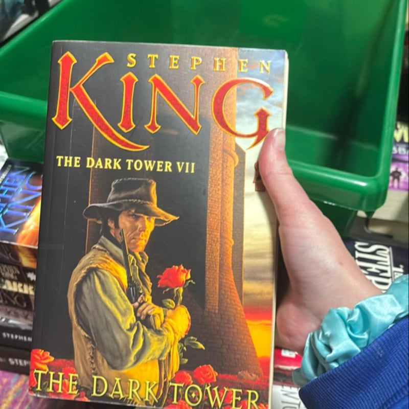 The Dark Tower VII