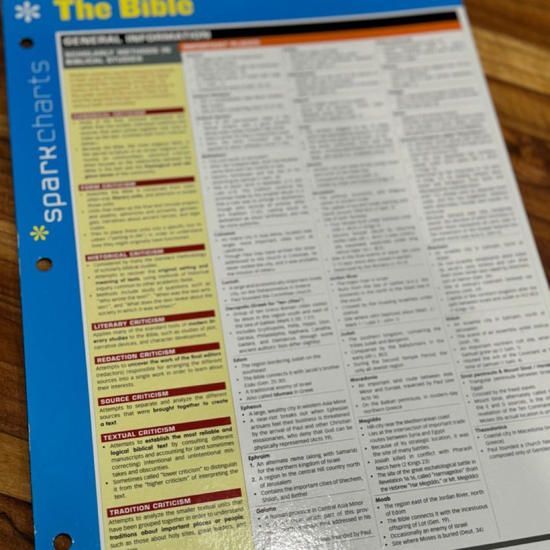 The Bible SparkCharts