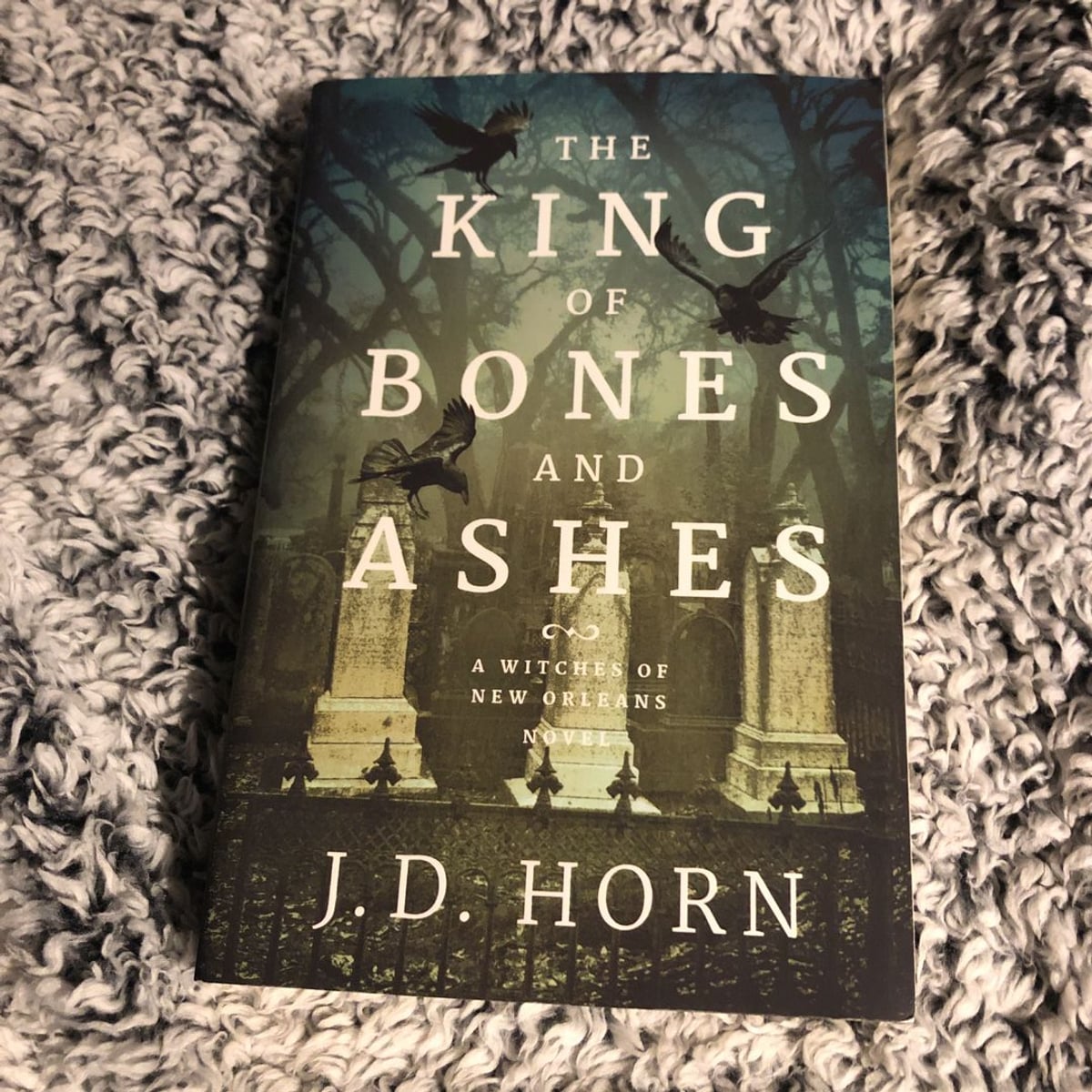 The King of Bones and Ashes by J. D. Horn