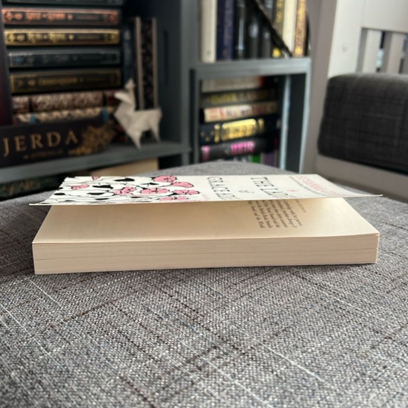 The Ladies of Grace Adieu and Other Stories