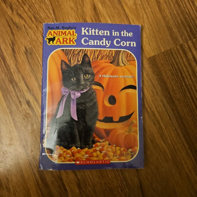 KITTEN IN THE CANDY CORN