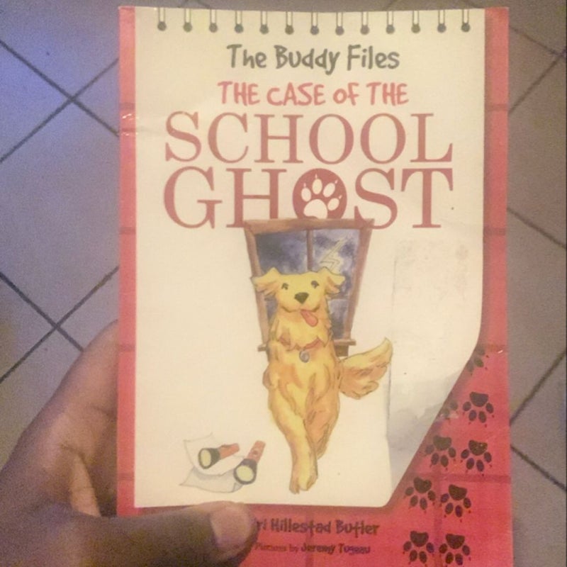 The Case of the School Ghost