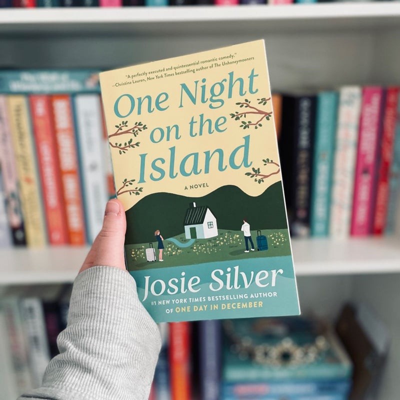 One Night on the Island