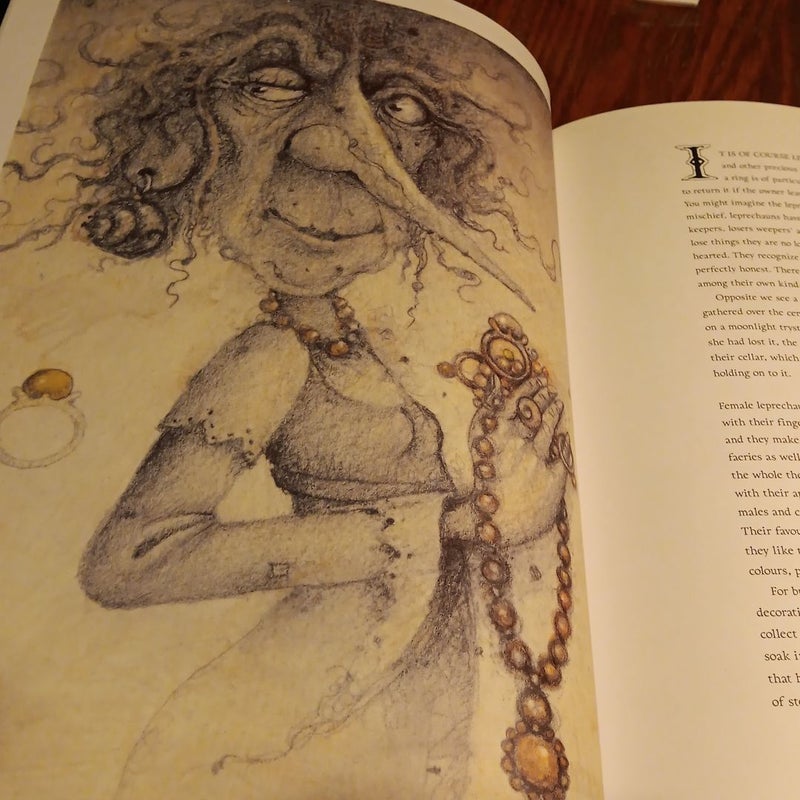 Leprechaun Companion Illustrations by Wayne Anderdon