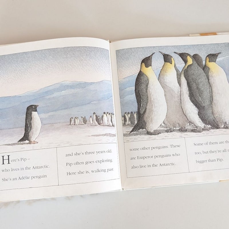 Little Penguin