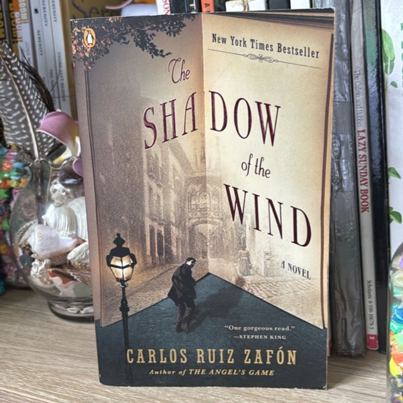 The Shadow of the Wind
