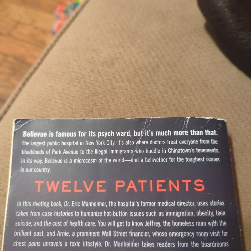 Twelve Patients