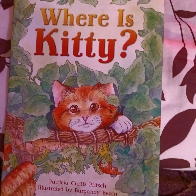 Lbd Bbsv G2 Where Is Kitty?